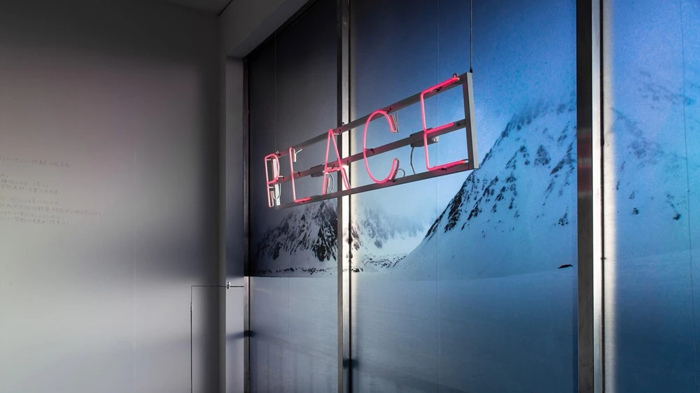 優選 | 張允菡《其實我們什麼也不是》-圖片